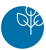 icon flower