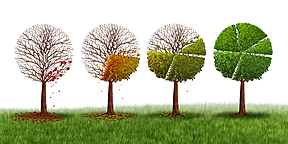 Data analysis and statistics in ecology аnd landscape study
