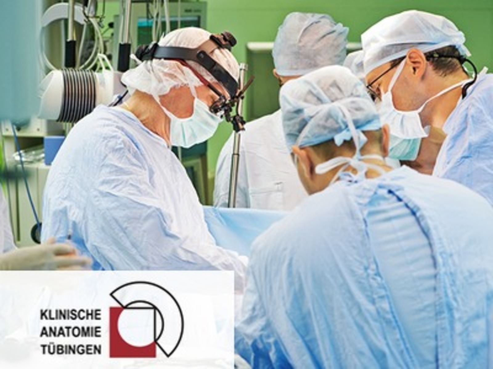 Sectio chirurgica - 'Klinische Anatomie Kopf / Hals'